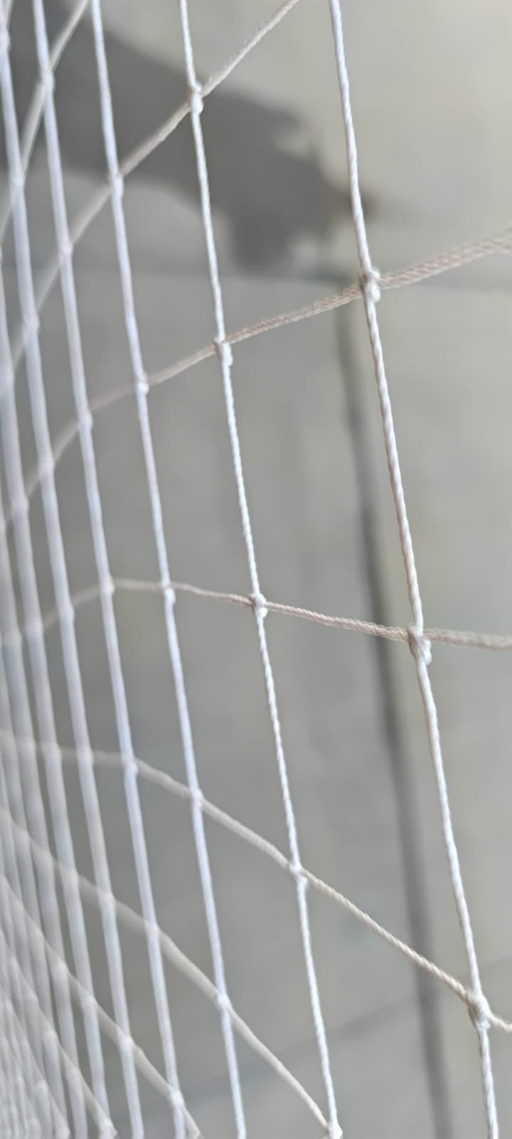 Bird net installation gallery - Satyam Bird Net