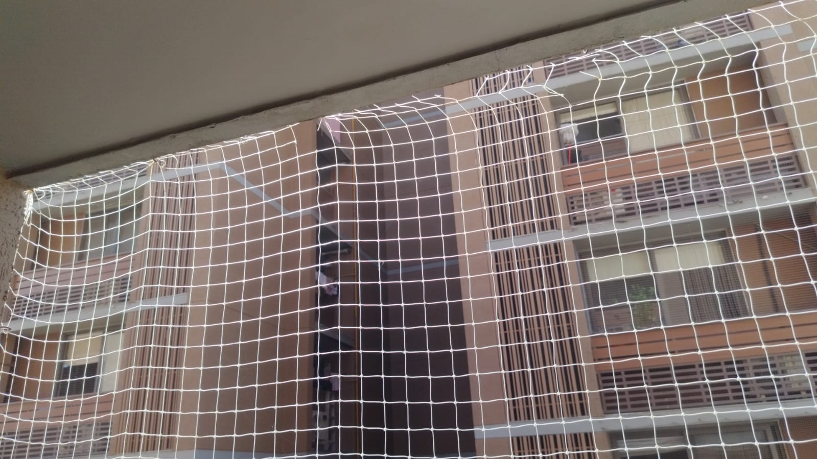 Bird net installation gallery - Satyam Bird Net