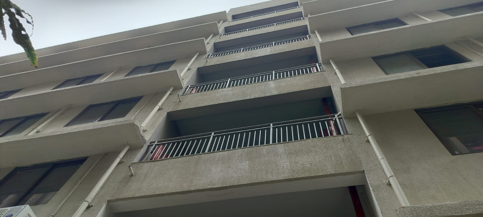 Bird net installation gallery - Satyam Bird Net