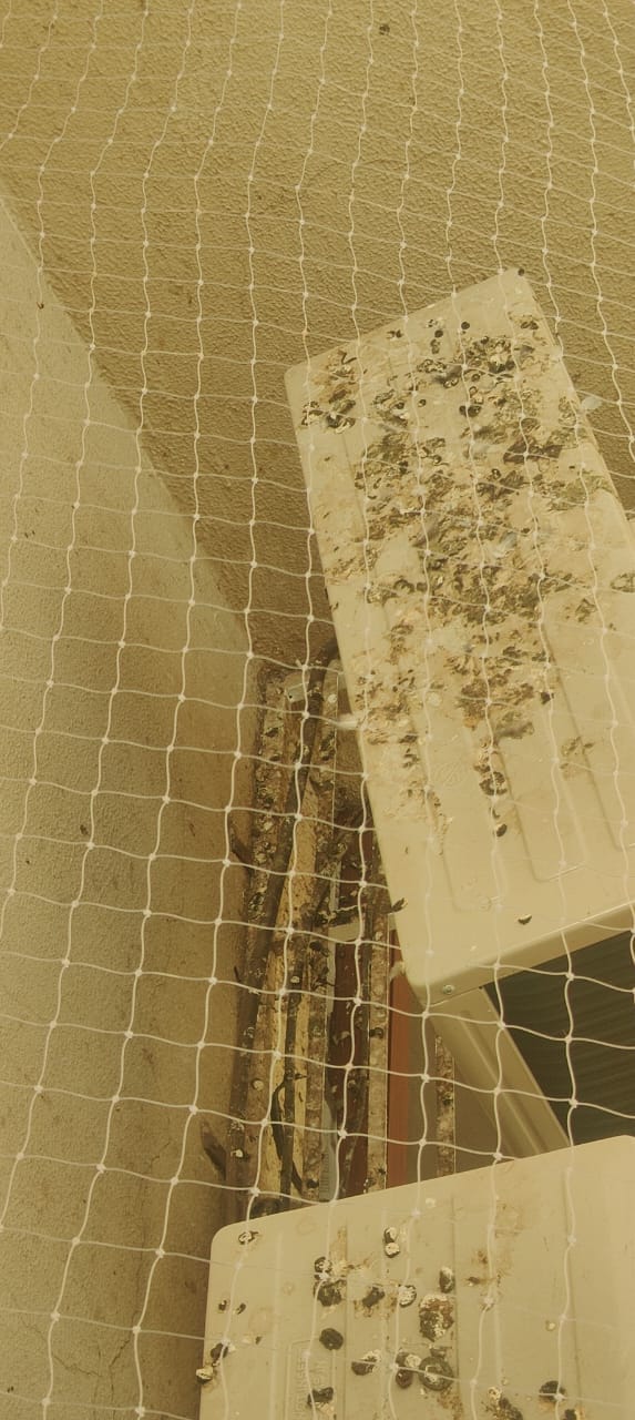 Bird net installation gallery - Satyam Bird Net