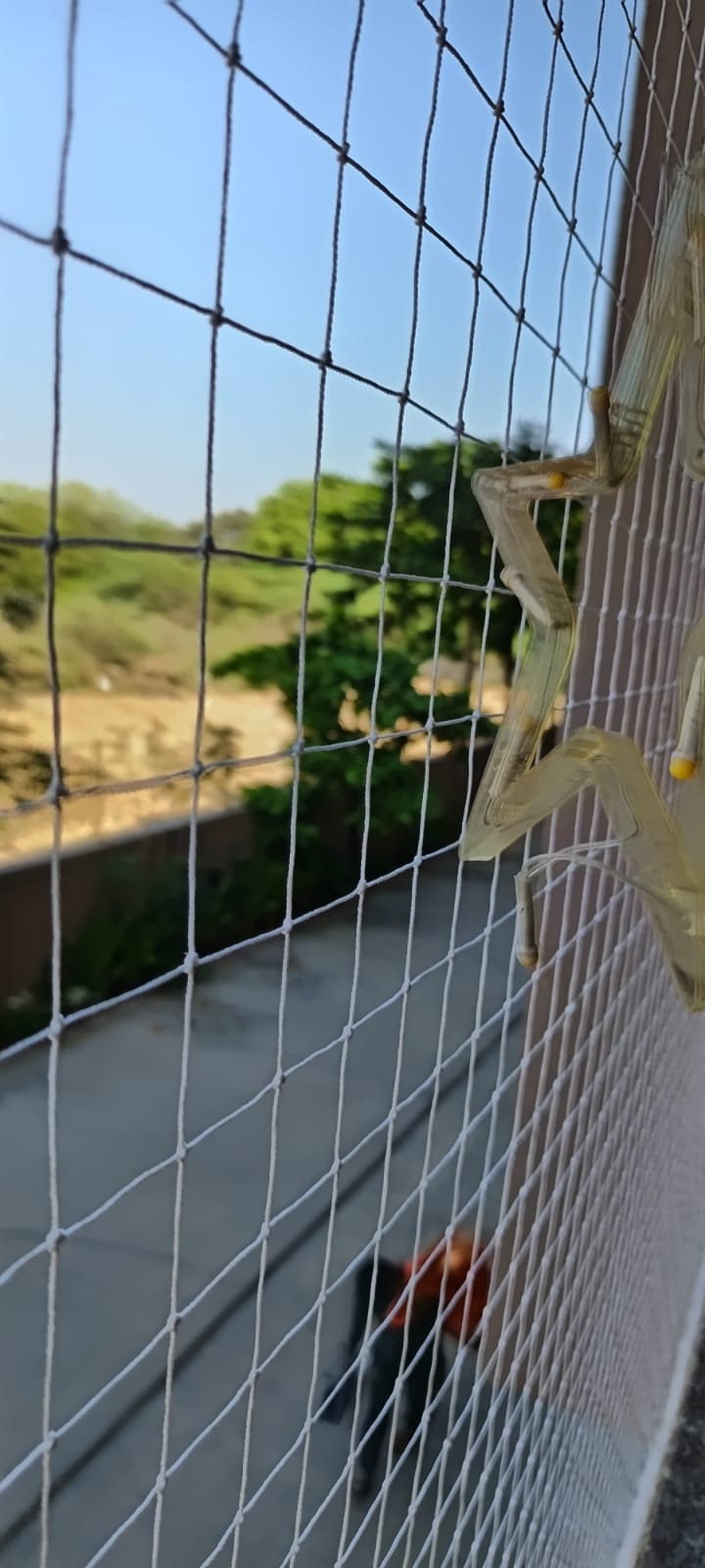 Bird net installation gallery - Satyam Bird Net