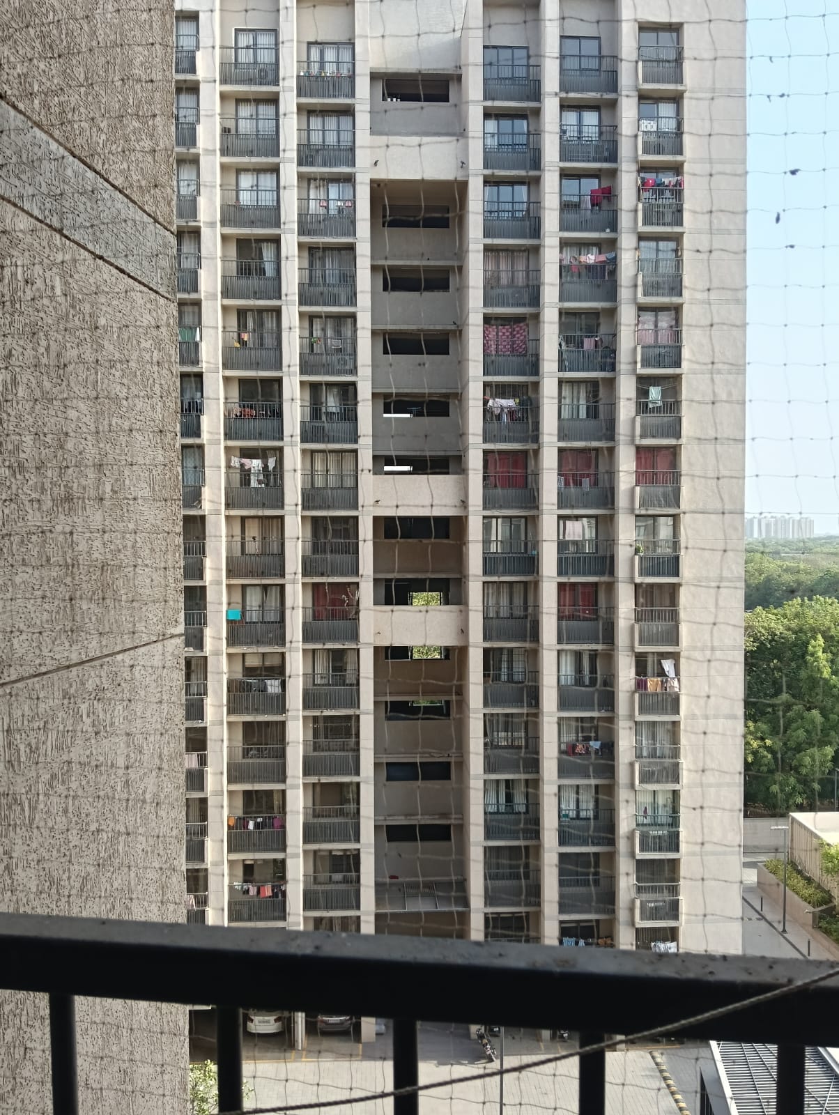 Bird net installation gallery - Satyam Bird Net